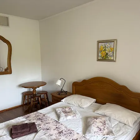 Hotel Danver